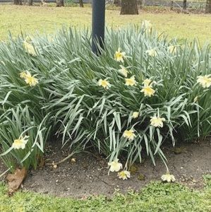 Meet your Posher, Janet